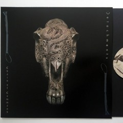 Chain of Command EP