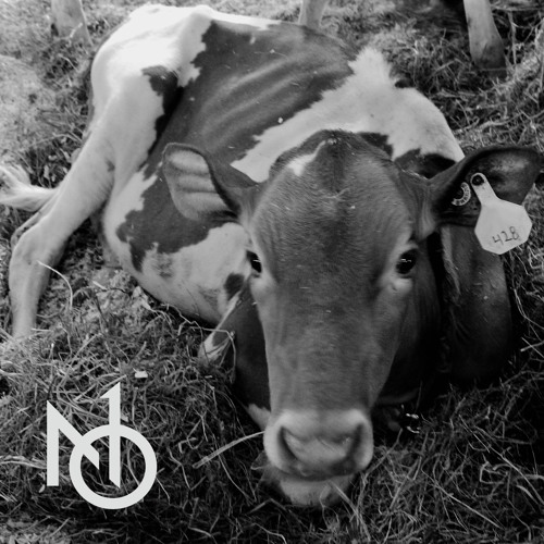 Stream No1 Keep Em Guessing Rotten Pizza By Gray Duck Records