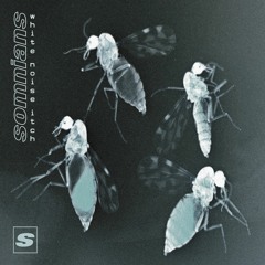 White Noise Itch (Radio Edit)