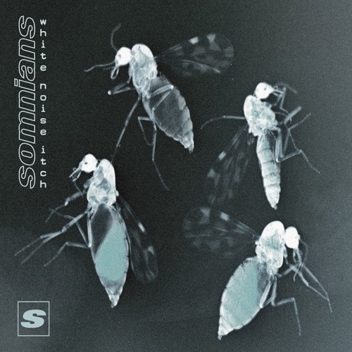 White Noise Itch (Radio Edit)