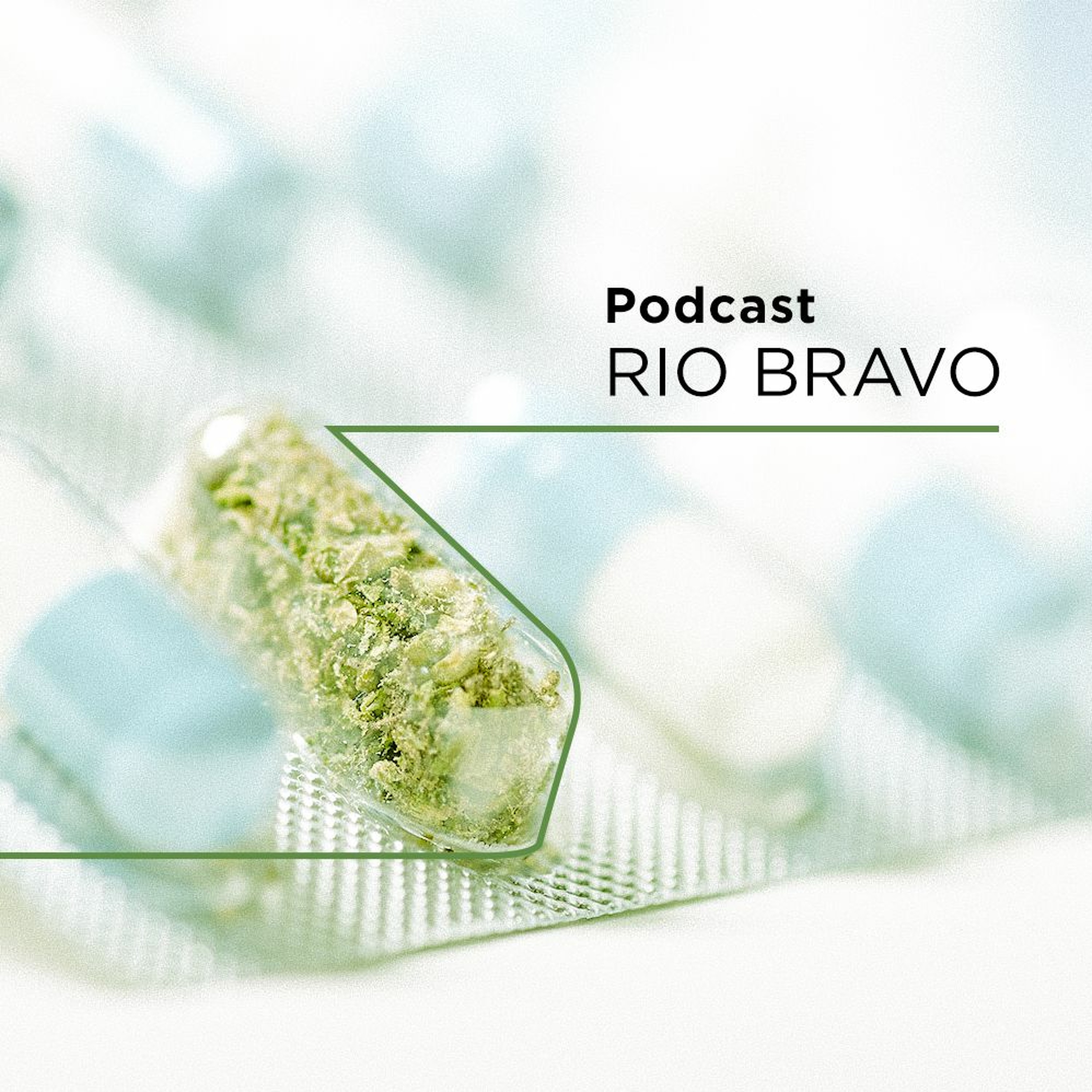 Podcast 555 – José Barcellos – A estratégia da Verdemed e o negócio da cannabis medicinal episode artwork