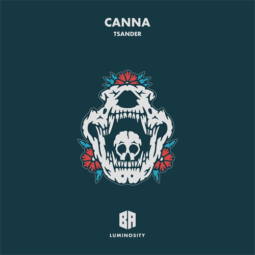 Canna - Tsander