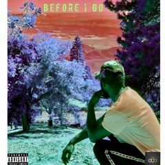 BEFORE I GO