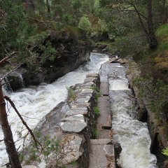 Four Perspectives On A Salmon Ladder