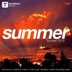 PREMIERE: Port Manteau - Drifter (Original Mix) [Tarnished Tracks]