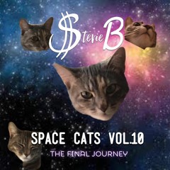 Space Cats Vol. 10 (Fall Promo mix 2019)