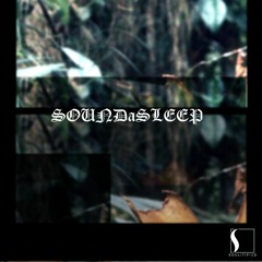 SOUNDaSLEEP