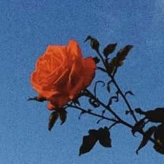 Leave me (‡SHI Drumkit Promo )