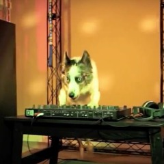 Naive Ted // Year of the dog (ft. Citrus)[FREE DL]