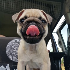 PUG UP THE VOLUME - RIERA ATV DJ SET (TECHNO) (Headphones for better quality)