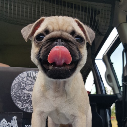PUG UP THE VOLUME - RIERA ATV DJ SET (TECHNO) (Headphones for better quality)