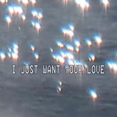 I Just Want Your Love