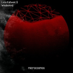 Luca Kallweit & Windeskind - Microcosmos