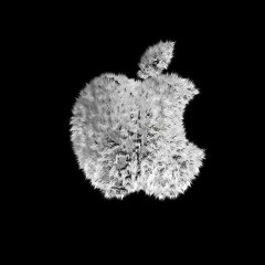 Apple Fuzz (Demo)