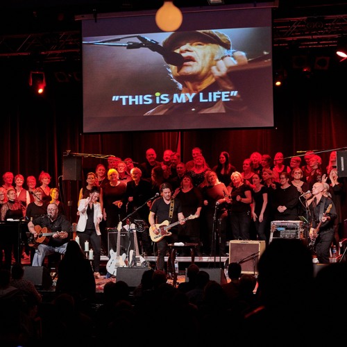 Stream Kvinde Min by Kim Larsen Tribute Band Listen online for