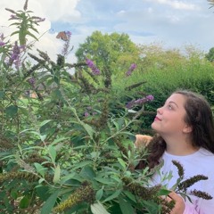 Miss Americana & The Heartbreak Prince