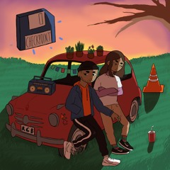 Checkpoint SnkBrp & BoeBird