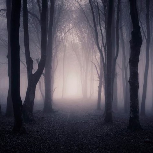 'No Hide Intro' by Sic & Chriz Haze  to  Ed Rush & Optical ' Chubrub'