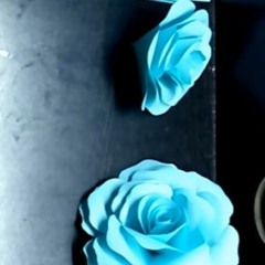 Complete - Roses