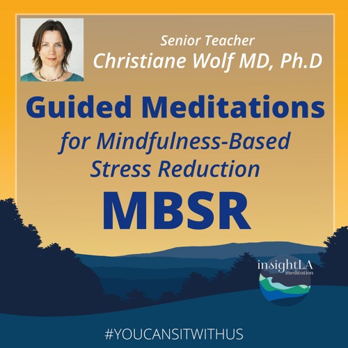 Stream InsightLA | Listen to Christiane Wolf: MBSR Guided Meditations ...
