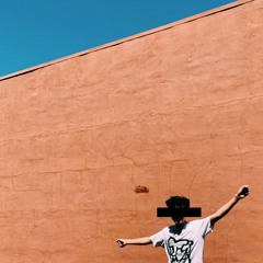 NO MORE PARTIES IN PA