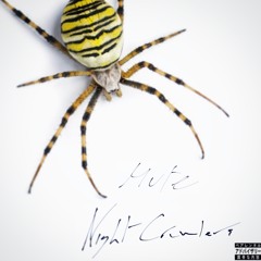 Mute - Nightcrawlers