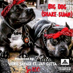 Big Dawg (shake sumn)ft. Jay Gutta