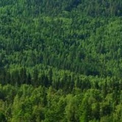 Ninja Kris (mbr respiced)