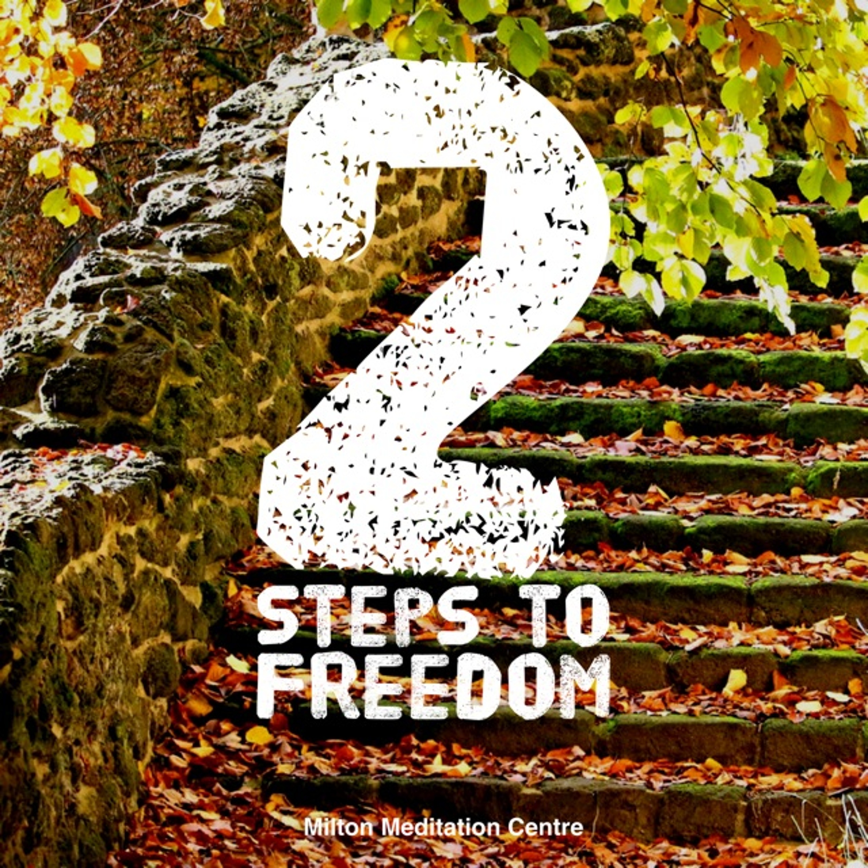 Two Steps to Freedom episode artwork