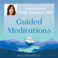 Trudy Goodman: Guided Meditations