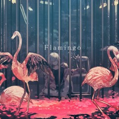 Flamingo (Cover)