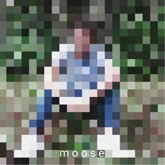 moose [revisited]