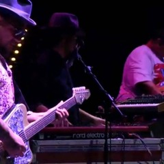 Fat Freddy's Drop - This Room (Live in Italy 2013)