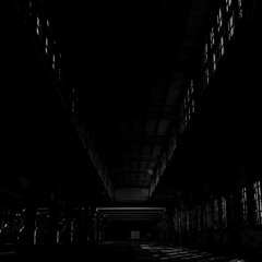 The Hall