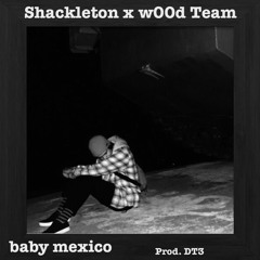 baby mexico (w/ w00d Team) [Prod. DT3]
