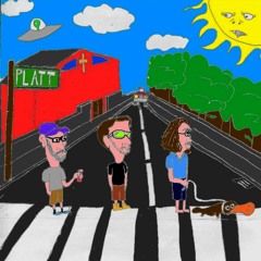 Platt The Band - Let's Not Call It What It's Not