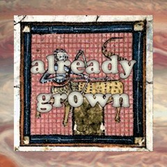 already gr0wn | prod. beatsbycon