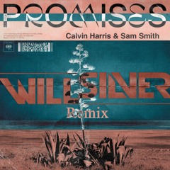 Calvin Harris & Sam Smith - Promises (Will Silver Remix)