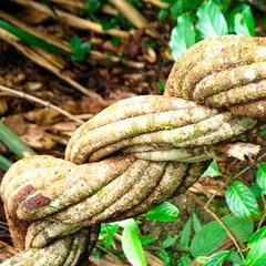 Ilumina Me - Herbert Quinteros