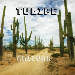 One Night In Tucson