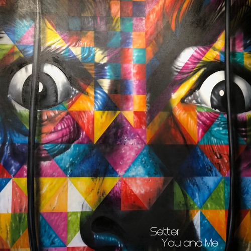 Setter - You And Me