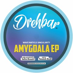 Premiere: A1 - Wave Particle Singularity - Amygdala [DBR001]