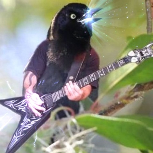 Stream Heavy Metal Birds Intro by PhenomeNarc | Listen online for free on  SoundCloud
