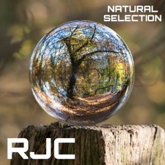 Natural Selection (prod. RJC)