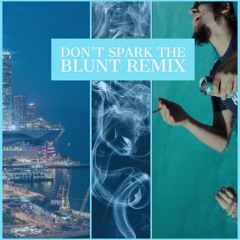 Don't Spark the Blunt (Remix) prod. Ca$hOnly