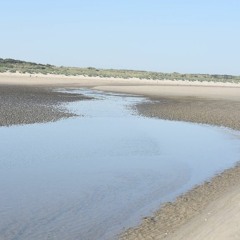 The Ideal Tropical World