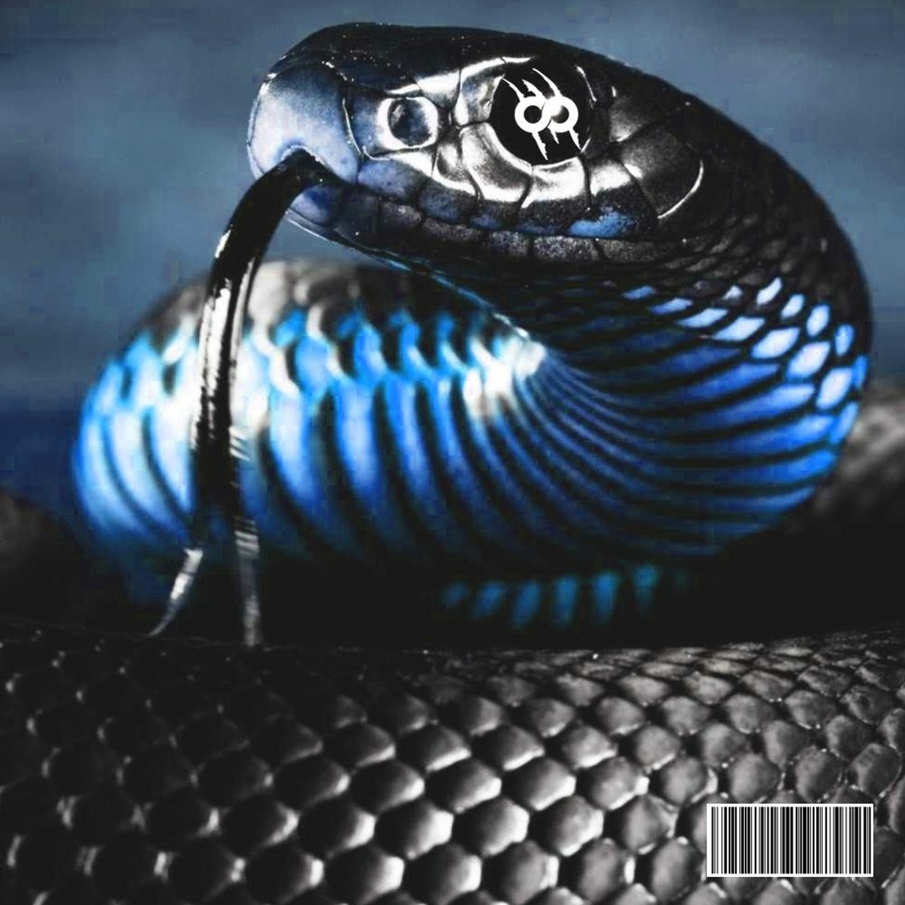 PYTHON episode artwork