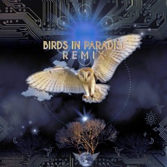 Bird Tribe - Amazonia ∞ (Auralponic Remix)