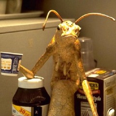 PACK MAN (prod. Cxdy & Jamell Butler Feat Lucid)