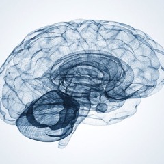 The Journey (with clips)